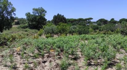 Terrain à Sesimbra (Castelo) de 7 209 m²