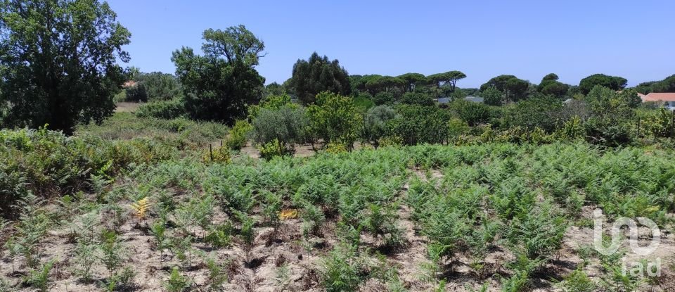 Land in Sesimbra (Castelo) of 7,209 m²