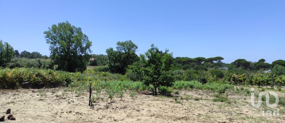 Land in Sesimbra (Castelo) of 7,209 m²