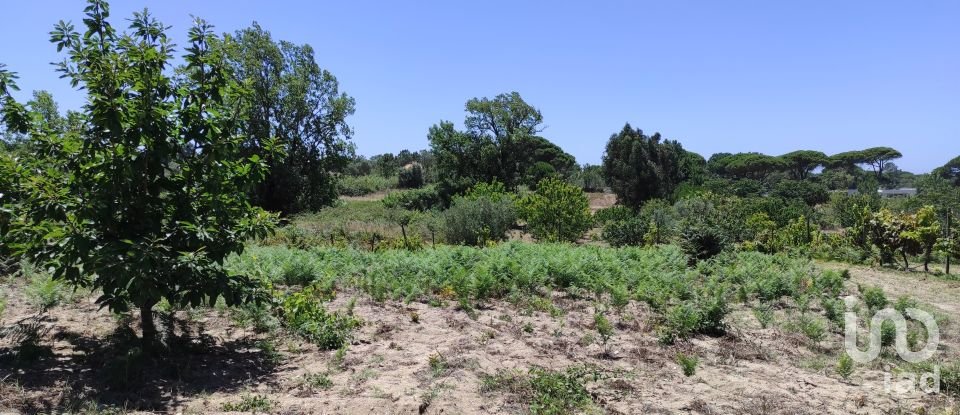 Land in Sesimbra (Castelo) of 7,209 m²