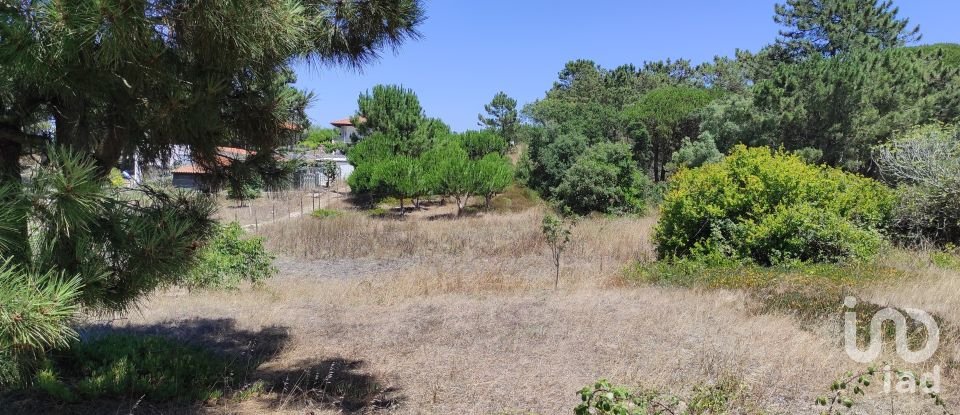 Land in Sesimbra (Castelo) of 7,209 m²