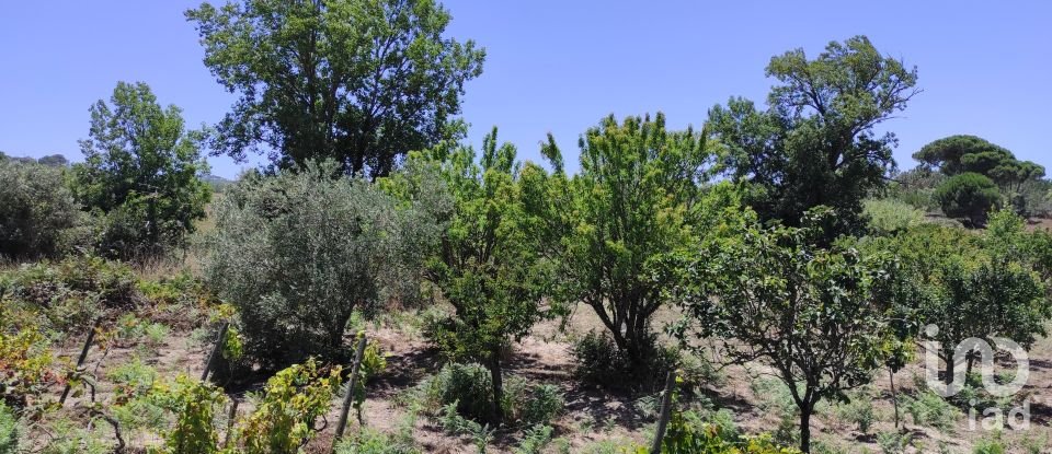 Land in Sesimbra (Castelo) of 7,209 m²