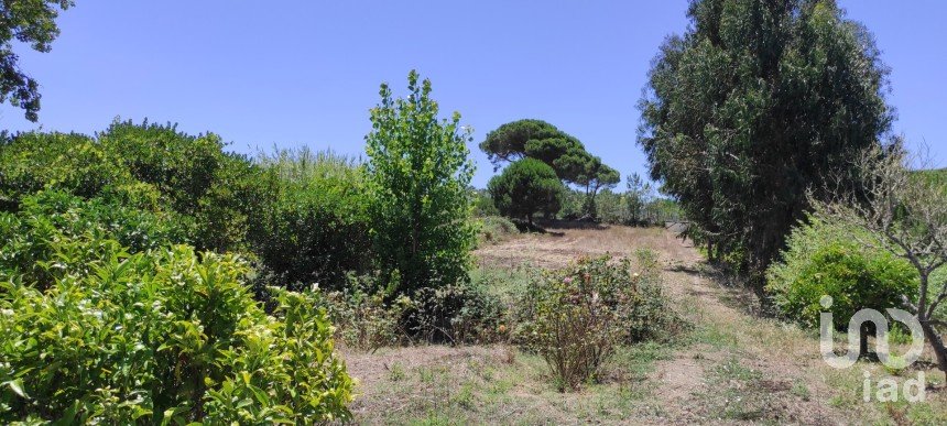 Land in Sesimbra (Castelo) of 7,209 m²