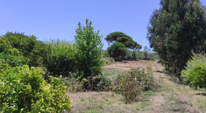 Terrain à Sesimbra (Castelo) de 7 209 m²