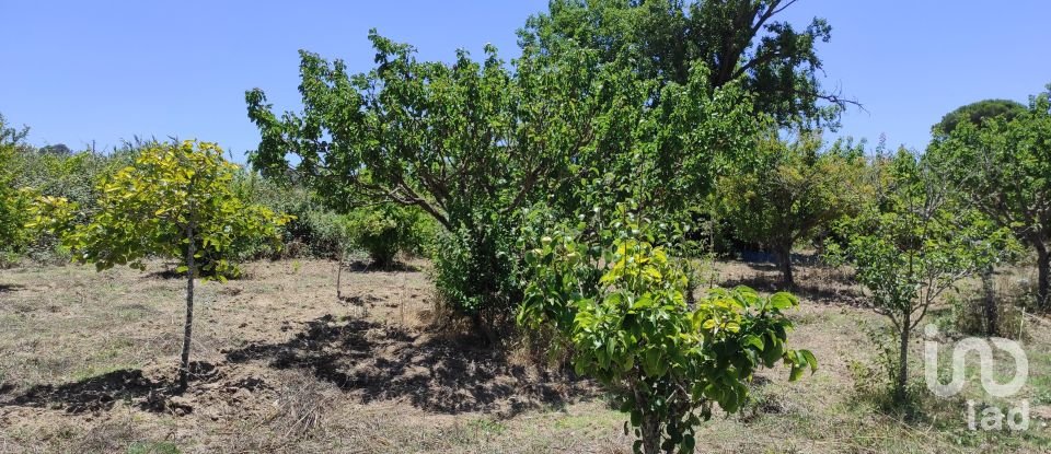 Land in Sesimbra (Castelo) of 7,209 m²