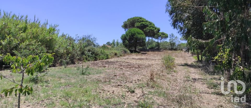 Land in Sesimbra (Castelo) of 7,209 m²