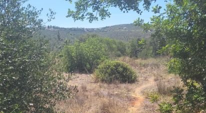 Terrain à bâtir à Loulé (São Clemente) de 12 452 m²