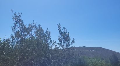 Terrain à bâtir à Loulé (São Clemente) de 12 452 m²