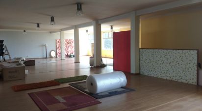 Boutique/Local commercial à Guarda de 375 m²