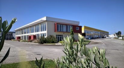 Surface diverse à São João das Lampas e Terrugem de 1 574 m²