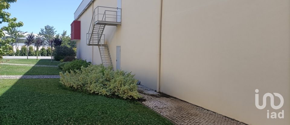 Surface diverse à São João das Lampas e Terrugem de 1 574 m²