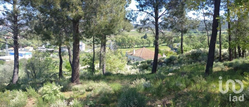 Farm T3 in Belmonte e Colmeal da Torre of 20,254 m²