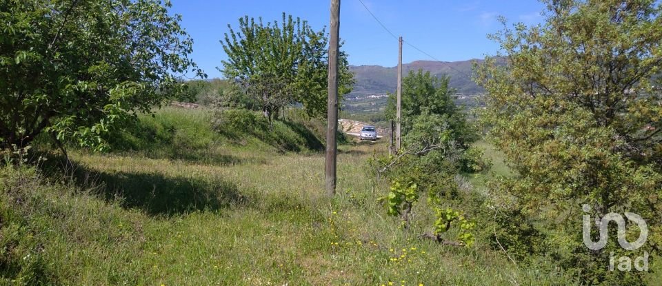 Farm T3 in Belmonte e Colmeal da Torre of 20,254 m²