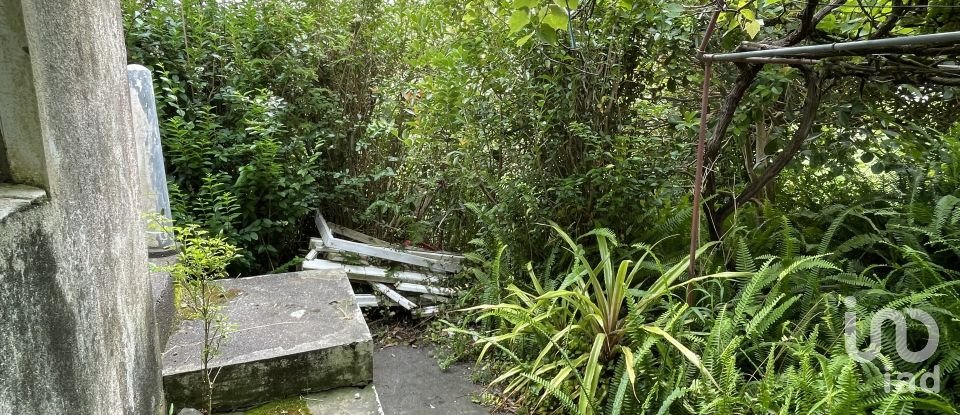 Lodge T4 in Velas (São Jorge) of 200 m²