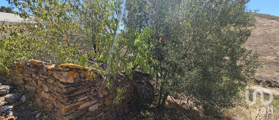 House T1 in Tavira (Santa Maria e Santiago) of 110 m²