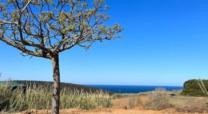 Building plot in Lourinhã e Atalaia of 349 m²