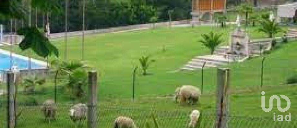 Terreno em Alvito (São Pedro E São Martinho) E Couto de 880 m²