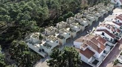 Terrain à Alvito (São Pedro E São Martinho) E Couto de 880 m²