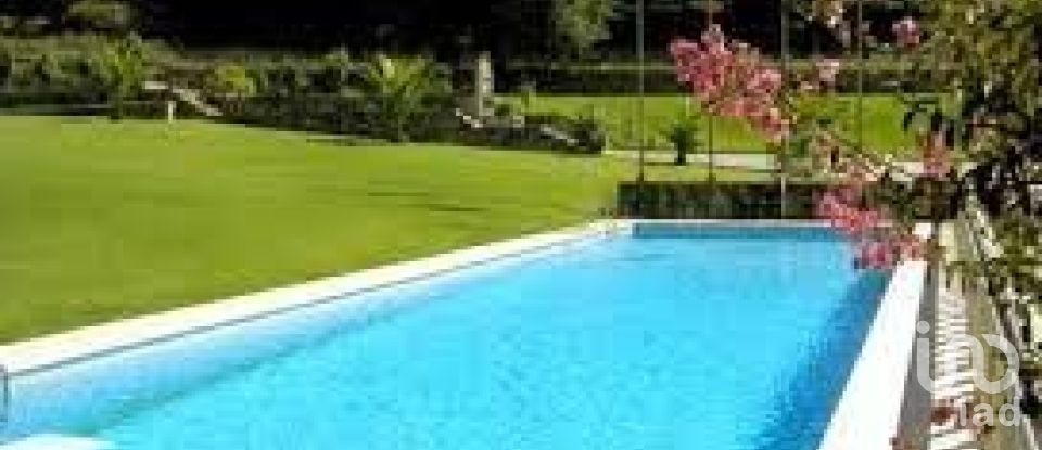 Terreno em Alvito (São Pedro E São Martinho) E Couto de 880 m²