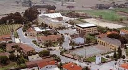 Terrain à Alvito (São Pedro E São Martinho) E Couto de 880 m²