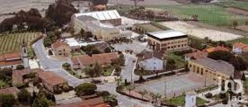 Terreno em Alvito (São Pedro E São Martinho) E Couto de 880 m²