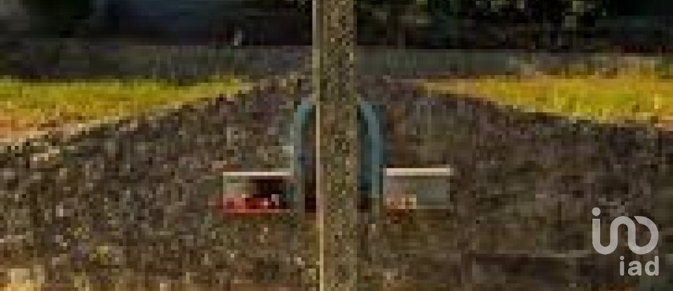 Terreno em Alvito (São Pedro E São Martinho) E Couto de 880 m²