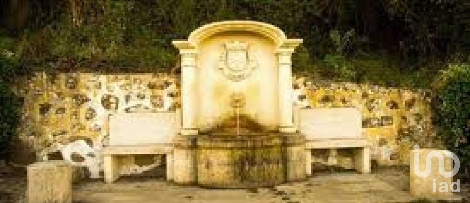 Terreno em Alvito (São Pedro E São Martinho) E Couto de 880 m²