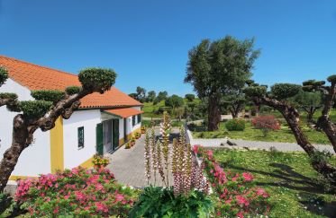 Country house T3 in Madalena e Beselga of 170 m²