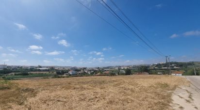Building land in Lourinhã e Atalaia of 9,000 m²