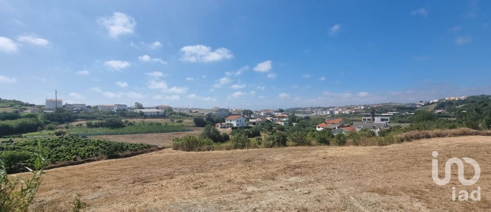 Terrain à bâtir à Lourinhã e Atalaia de 9 000 m²