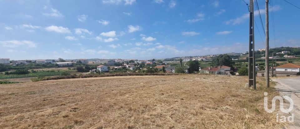 Building land in Lourinhã e Atalaia of 9,000 m²