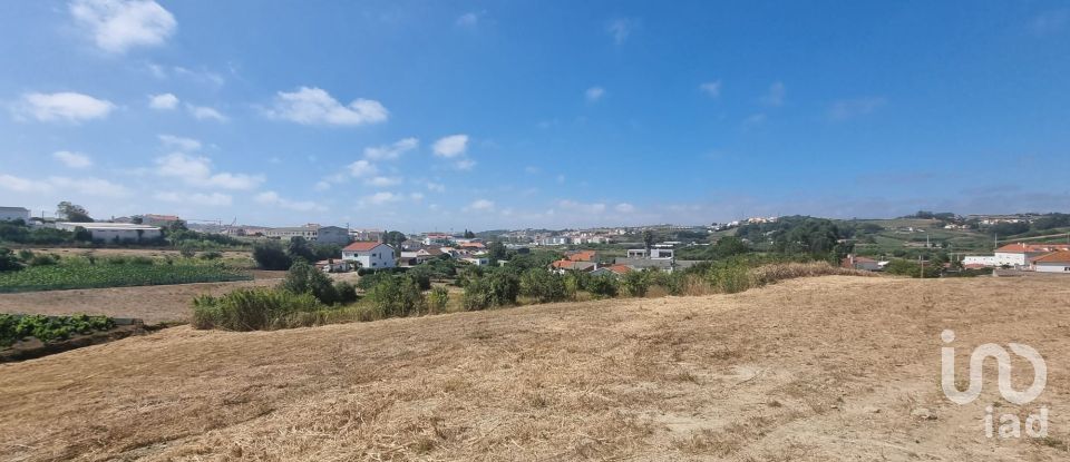 Terrain à bâtir à Lourinhã e Atalaia de 9 000 m²