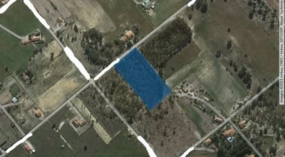 Terrain à bâtir à Branca de 12 500 m²