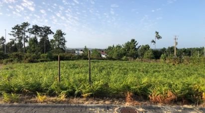 Terrain à Vieira de Leiria de 535 m²