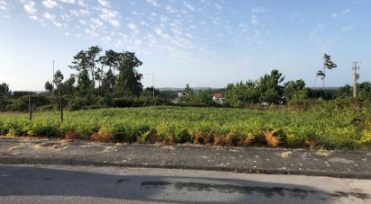 Terrain à Vieira de Leiria de 535 m²