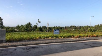 Terrain à Vieira de Leiria de 535 m²
