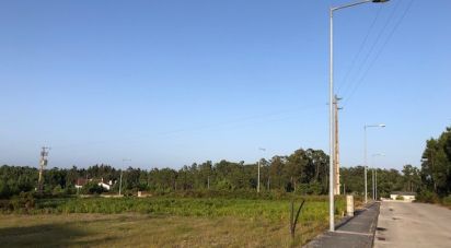 Land in Vieira de Leiria of 535 m²