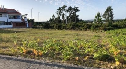 Terrain à Vieira de Leiria de 524 m²
