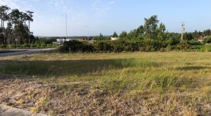 Terrain à Vieira de Leiria de 524 m²