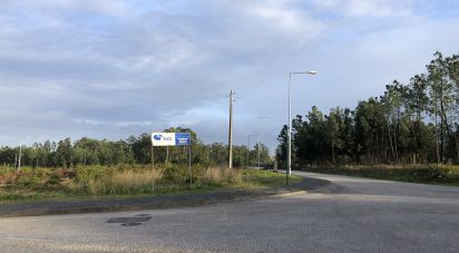 Terrain à Vieira de Leiria de 524 m²