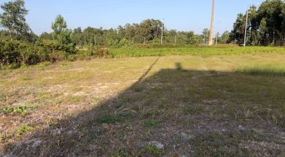 Terrain à Vieira de Leiria de 524 m²