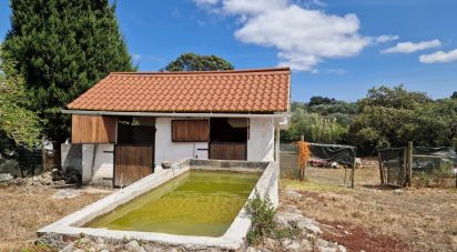 Terrain à Alvados e Alcaria de 3 040 m²