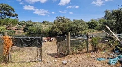 Terrain à Alvados e Alcaria de 3 040 m²