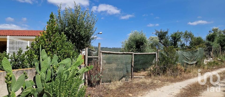 Land in Alvados e Alcaria of 3,040 m²