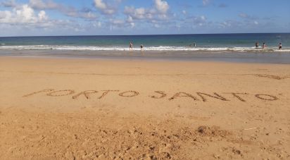 Terrain à Porto Santo de 52 520 m²