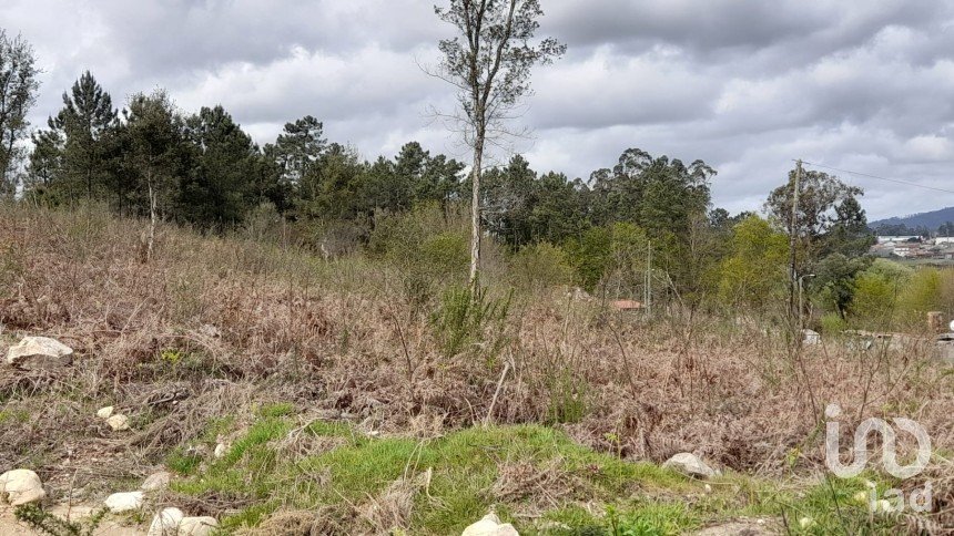 Building plot in Tamel (São Veríssimo) of 18,281 m²