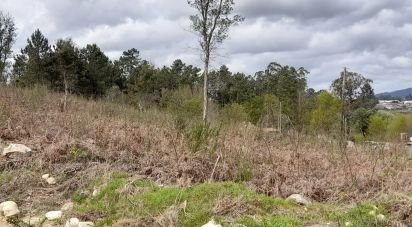 Terrain à bâtir à Tamel (São Veríssimo) de 18 281 m²