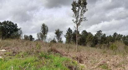 Terrain à bâtir à Tamel (São Veríssimo) de 18 281 m²