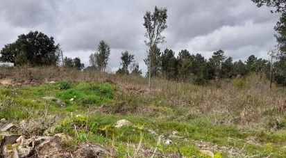 Terrain à bâtir à Tamel (São Veríssimo) de 18 281 m²