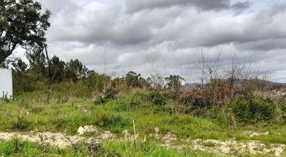 Terrain à bâtir à Tamel (São Veríssimo) de 18 281 m²